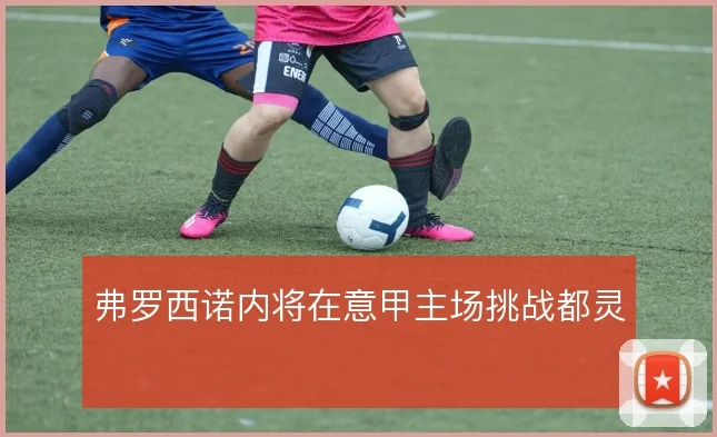 弗罗西诺内将在意甲主场挑战都灵
