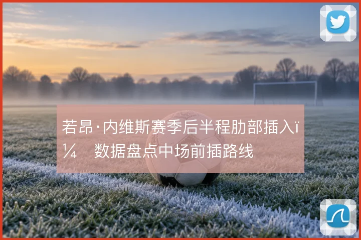 若昂·内维斯赛季后半程肋部插入,数据盘点中场前插路线