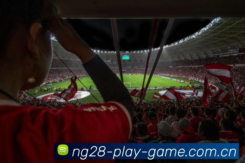 ng28APP 体育赛事宣传图